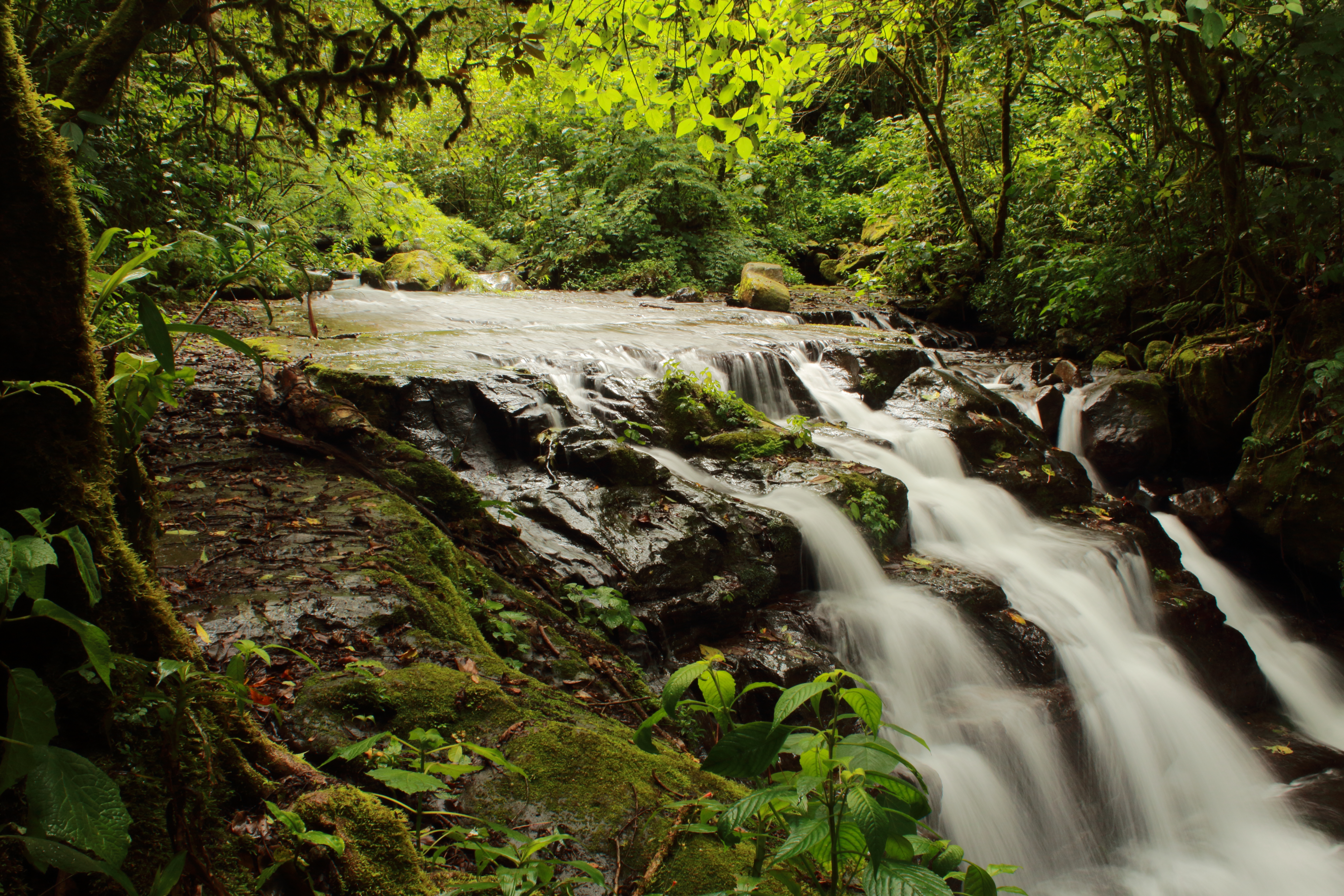 Cataratas don Kilo