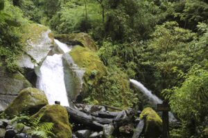 Cataratas Perez Zeledón