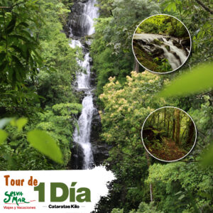 Tour Cataratas Kilo